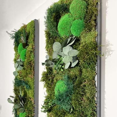 Moss Walls